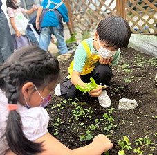 挑戦拠点ネットワークの拡充