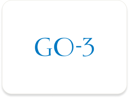 株式会社GO-3