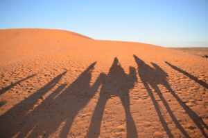 【イベント告知】2月11日世界の朝ごはん モロッコ