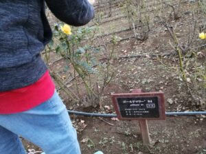 知と挑戦の基地「ミライへのアソビバ」2020　スタート！