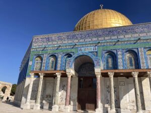 5日目を振り返って【新しい平和教育への挑戦】