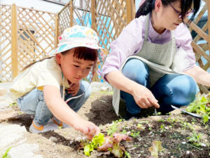 5月〜6月上旬のイベント情報：NOGEYAMA 5-6月号