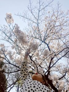 4月〜5月（上旬）のイベント